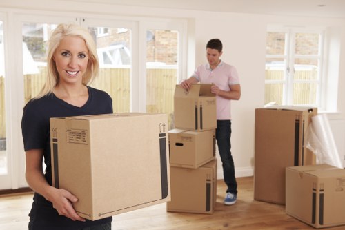 Illustration of Northwood storage used for seasonal and household items